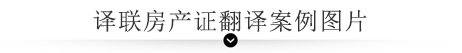 譯聯(lián)翻譯案例指示圖