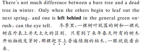 中英文翻譯內(nèi)容圖片