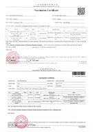 新冠疫苗接種憑證翻譯樣本